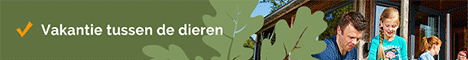 Ga naar de website van Vakantiepark Dierenbos!