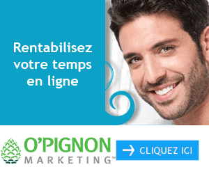 Participer aux sondages en ligne Pinecone research