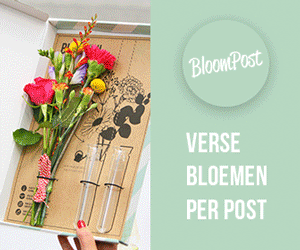 Decoratie Activeren tactiek Brievenbus bloemen goedkoop online bestellen via Bloompost - | WebshopActies