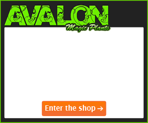 ritka gyógynövény partnerprogram